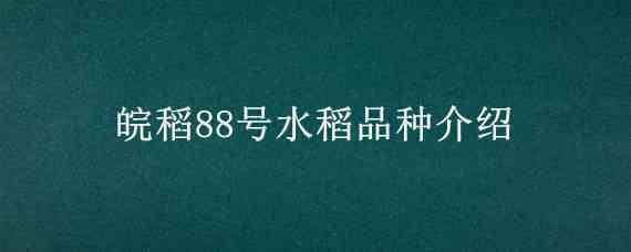 皖稻88号水稻品种介绍（皖稻56品种简介）