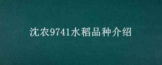 沈农9741水稻品种介绍 沈988水稻