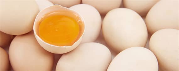 鸡蛋壳是什么肥料（鸡蛋壳是啥肥料）