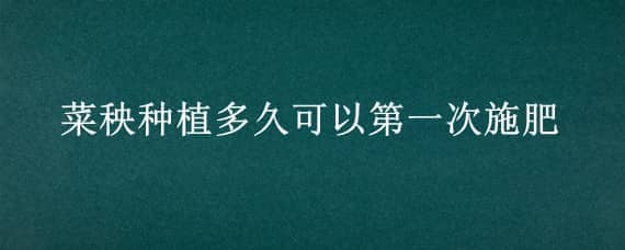 菜秧种植多久可以第一次施肥 菜秧子移栽多久才可以施肥