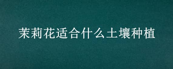 茉莉花适合什么土壤种植 茉莉花适合什么土壤种植西藏的一种花叫什么