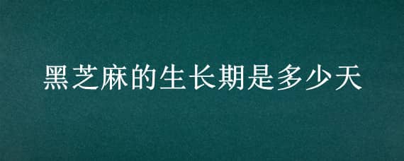 黑芝麻的生长期是多少天（黑芝麻的生长周期）