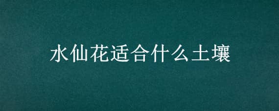 水仙花适合什么土壤 水仙花用什么土养好