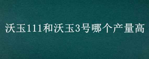 沃玉111和沃玉3号哪个产量高 沃玉21和沃玉3号