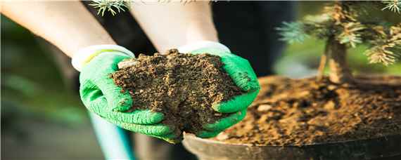 有机肥生产工艺流程（有机肥生产工艺流程及操作规程）