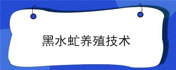 黑水虻养殖技术（黑水虻养殖技术全过程视频）