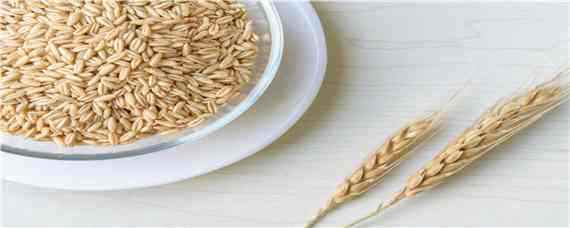 辛硫磷拌小麦种子怎样用 辛硫磷可以拌小麦种子吗