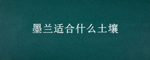 墨兰适合什么土壤（墨兰适合什么样的土壤）