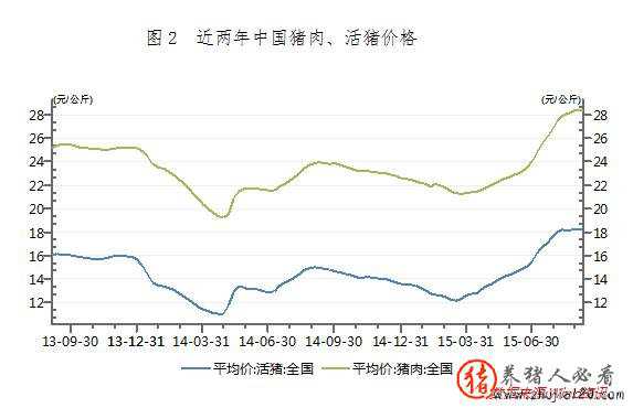 猪肉供需现状（猪肉供需分析）