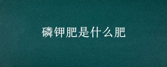 磷钾肥是什么肥（磷钾肥是什么肥包括复合肥吗）