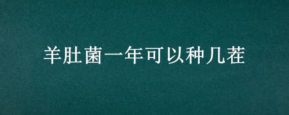 羊肚菌一年可以种几茬（羊肚菌一年四季都可以种植吗）