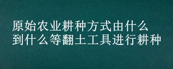 原始农业耕种方式由什么到什么等翻土工具进行耕种