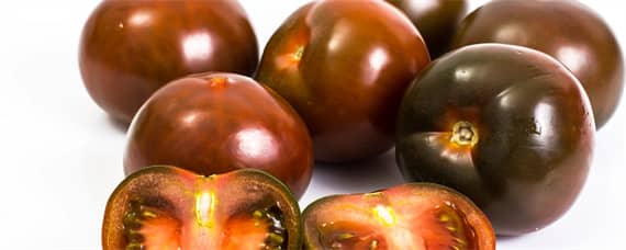 黑番茄的种植条件 黑番茄种植基地