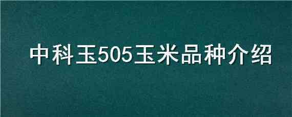 中科玉505玉米品种介绍（中科玉505玉米品种简介）