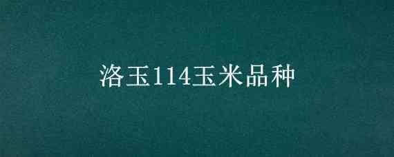 洛玉114玉米品种（洛玉114玉米品种产量）