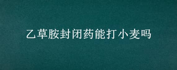 乙草胺封闭药能打小麦吗（小麦用乙草胺封闭有哪些注意事项）