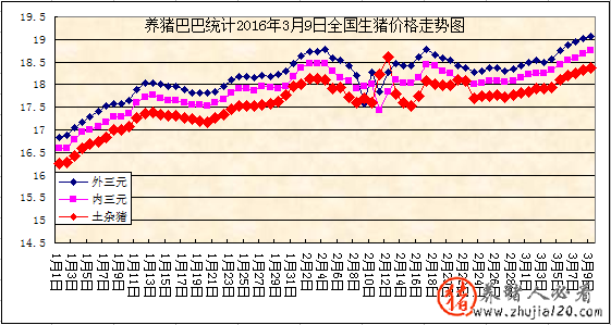 趋势：国内猪市出现火热行情（最新猪市行情走势）