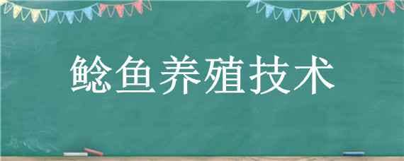 鲶鱼养殖技术 鲶鱼养殖技术 鱼塘