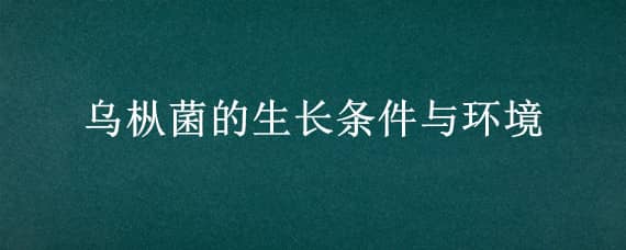 乌枞菌的生长条件与环境（乌枞菌生长环境温度）