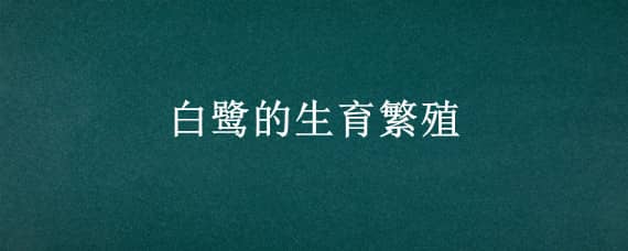 白鹭的生育繁殖（白鹭的生育繁殖情况）