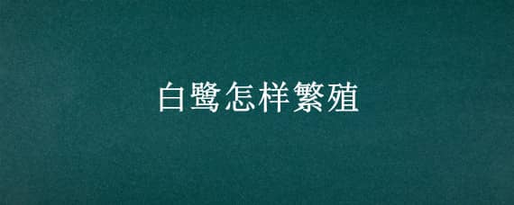 白鹭怎样繁殖 白鹭怎样繁殖后代