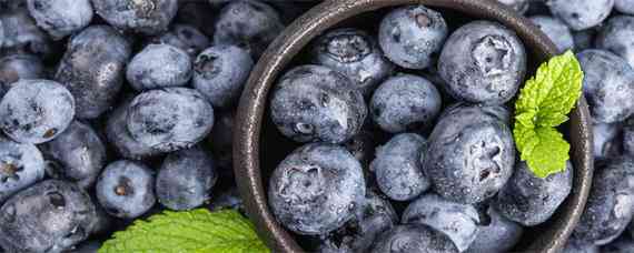 蓝莓种植需要什么条件（蓝莓种植需要什么条件有污染吗）