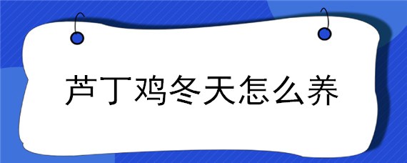 芦丁鸡冬天怎么养 芦丁鸡怎么家养