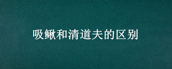 吸鳅和清道夫的区别（华吸鳅和清道夫）