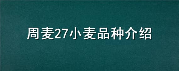 周麦27小麦品种介绍（周麦28小麦品种简介）