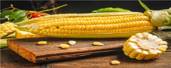 玉米种植技术与管理（玉米的种植与管理）