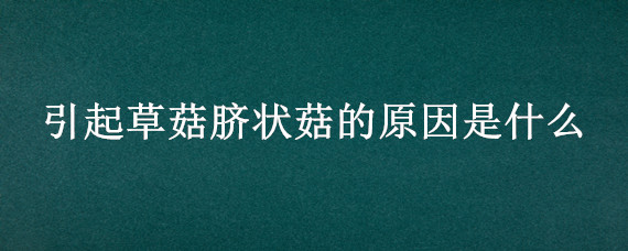 引起草菇脐状菇的原因是什么 产生脐状菇的原因是