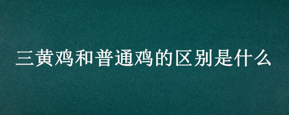 三黄鸡和普通鸡的区别是什么（三黄鸡 区别）