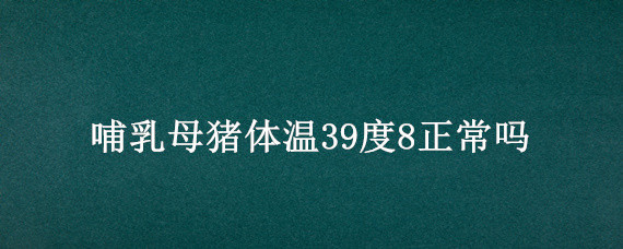 哺乳母猪体温39度8正常吗（乳猪39,8体温正常吗）