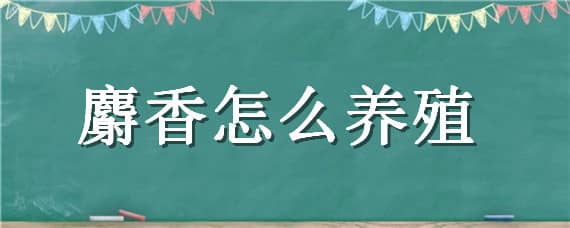 麝香怎么养殖 麝香怎么养殖出来的