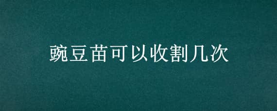 豌豆苗可以收割几次 豌豆苗能割几茬