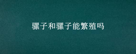 骡子和骡子能繁殖吗（骡子也有能繁殖的）