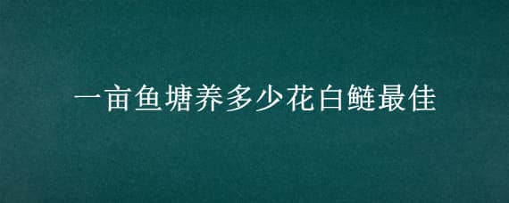 一亩鱼塘养多少花白鲢最佳（鱼塘花白鲢每亩养多少）