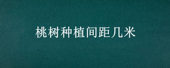 桃树种植间距几米 桃树种植株行距