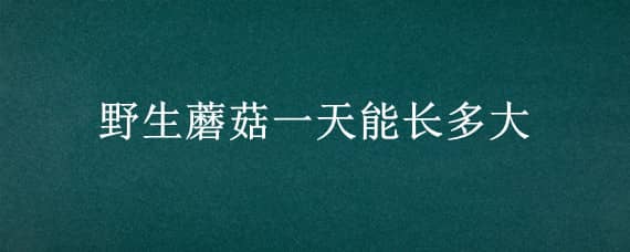 野生蘑菇一天能长多大（野生蘑菇一天能长多大个）