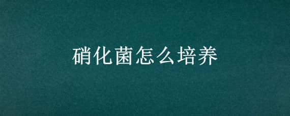 硝化菌怎么培养 龟缸硝化细菌怎么培养