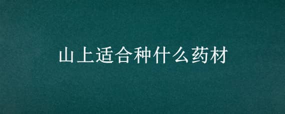 山上适合种什么药材（适合山上种的药材）