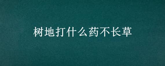 树地打什么药不长草 打草不伤树苗的药