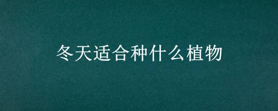 冬天适合种什么植物 冬天适合种什么植物在宿舍