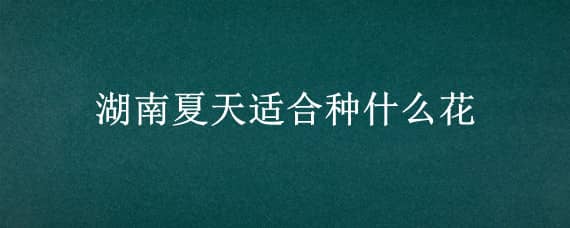 湖南夏天适合种什么花 湖南夏天适合种什么花生