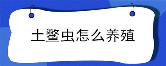 土鳖虫怎么养殖 土鳖虫怎么养殖视频