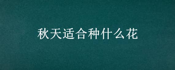 秋天适合种什么花 秋天适合种什么花种子