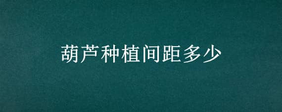 葫芦种植间距多少（葫芦种植间距多少一株几颗）