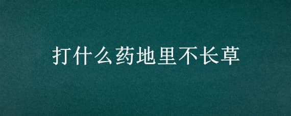 打什么药地里不长草 什么药打了不长草