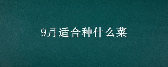 9月适合种什么菜（8.9月适合种什么菜）