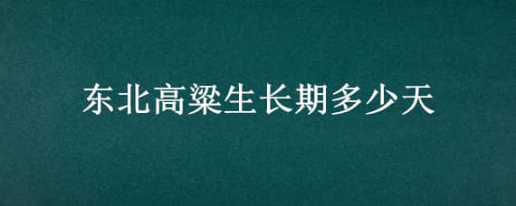 东北高粱生长期多少天（东北高粱生长期多少天啊）